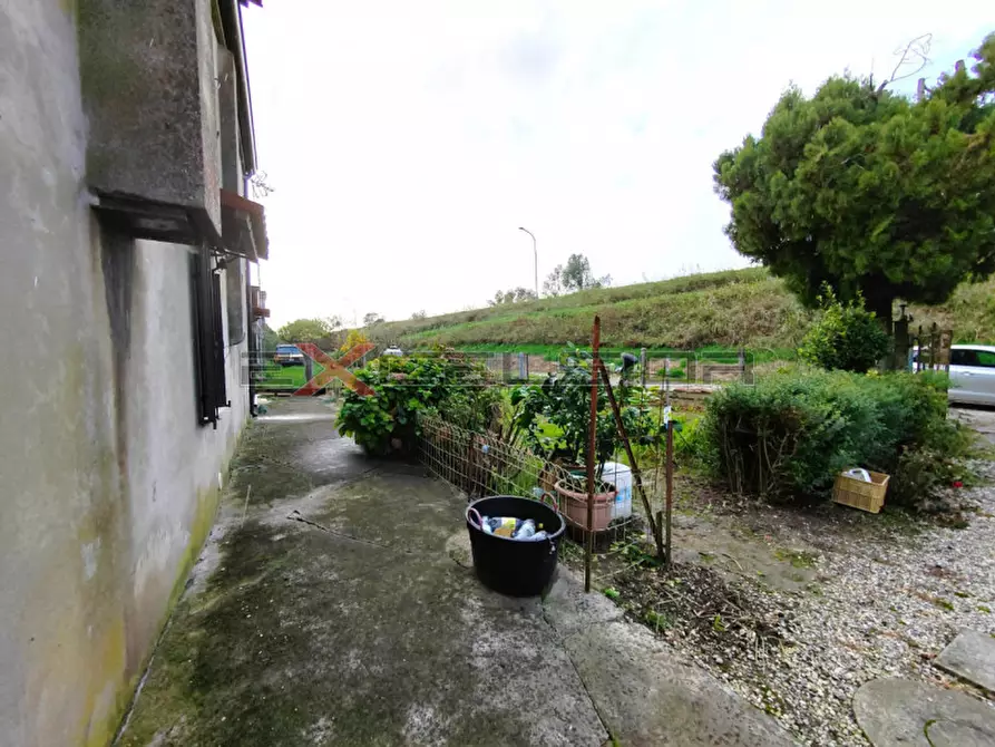 Immagine 6 di Casa indipendente in vendita  in Pettorazza a Pettorazza Grimani