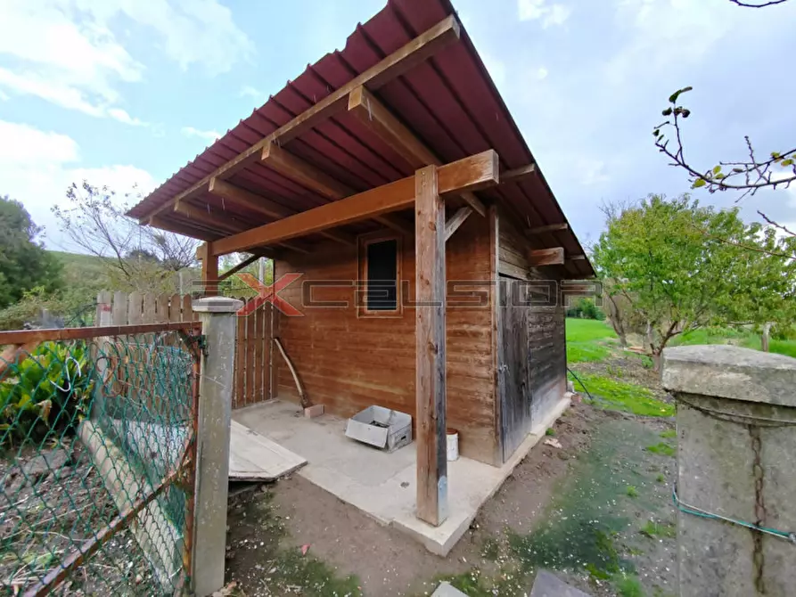 Immagine 9 di Casa indipendente in vendita  in Pettorazza a Pettorazza Grimani