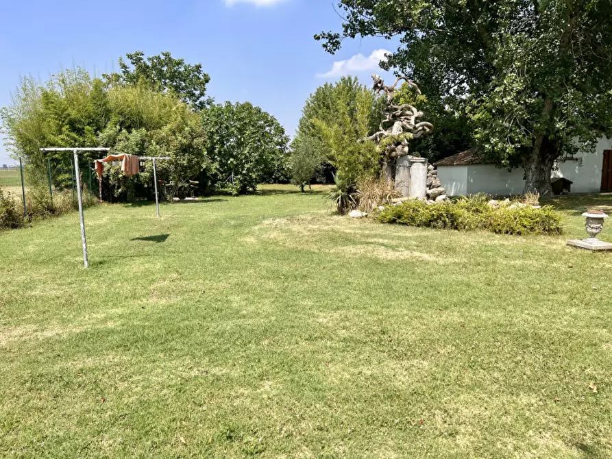 Immagine 27 di Rustico / casale in vendita  in Strada Mazzola Levante a San Secondo Parmense