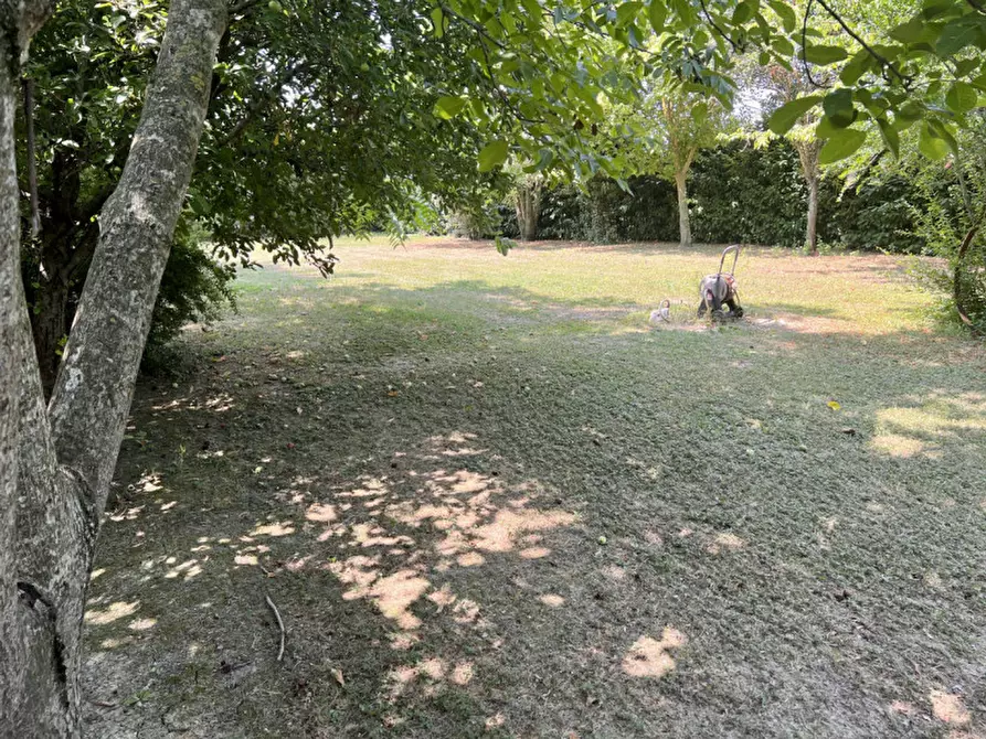 Immagine 29 di Rustico / casale in vendita  in Strada Mazzola Levante a San Secondo Parmense