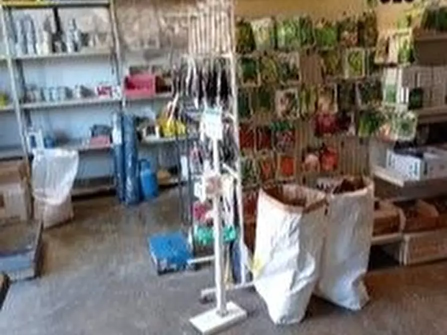 Immagine 4 di Laboratorio in vendita  in Via Volta 10 a Campagna Lupia