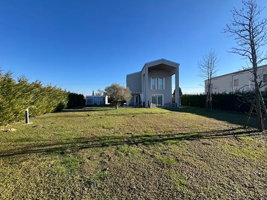 Immagine 3 di Casa indipendente in vendita  a Vigonovo