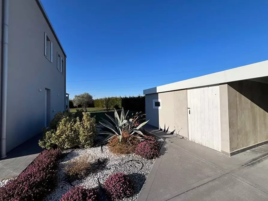 Immagine 8 di Casa indipendente in vendita  a Vigonovo