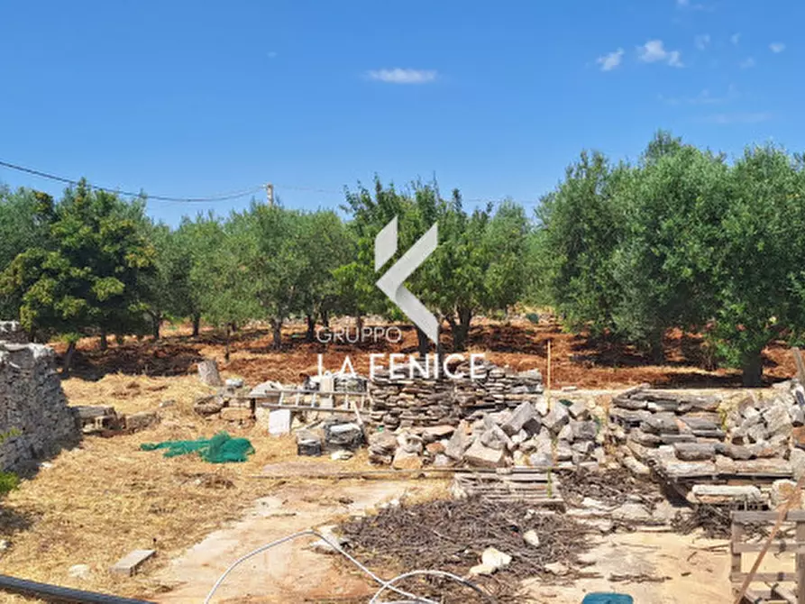 Immagine 13 di Rustico / casale in vendita  in contrada Battaglini a Locorotondo