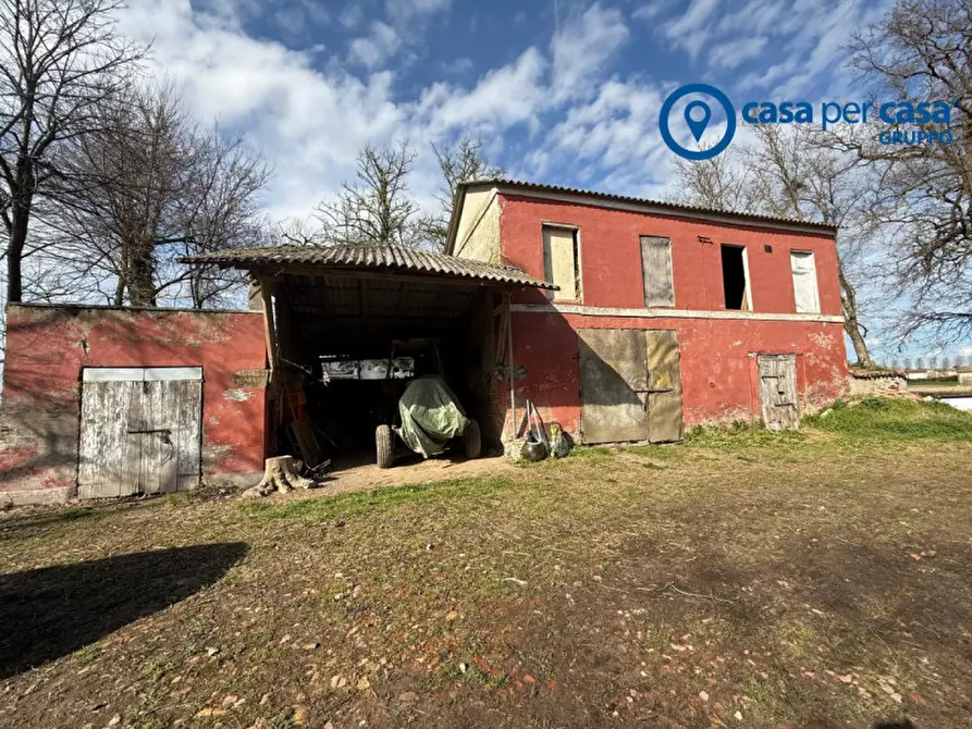 Immagine 43 di Casa indipendente in vendita  in Canalnovo, Via Capo di Sopra a Villanova Marchesana