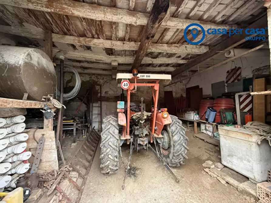 Immagine 44 di Casa indipendente in vendita  in Canalnovo, Via Capo di Sopra a Villanova Marchesana