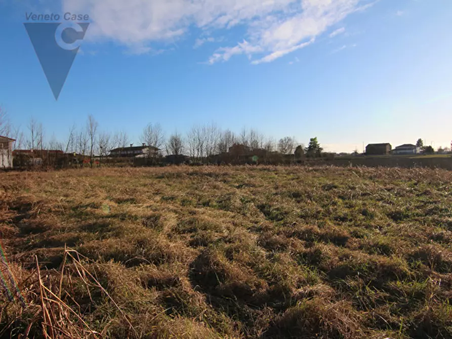 Immagine 2 di Terreno in vendita  a Piove Di Sacco