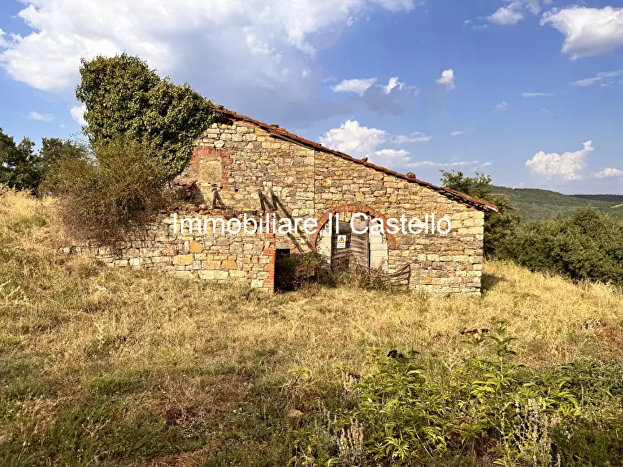 Immagine 1 di Attività commerciale in vendita  in piegaro a Piegaro