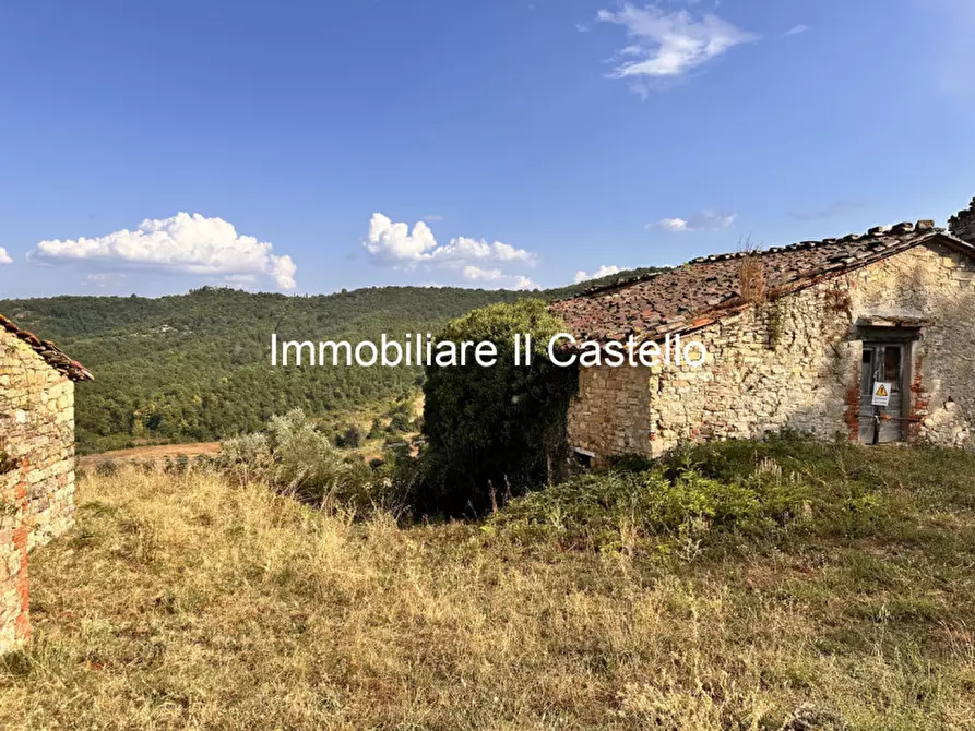 Immagine 2 di Attività commerciale in vendita  in piegaro a Piegaro