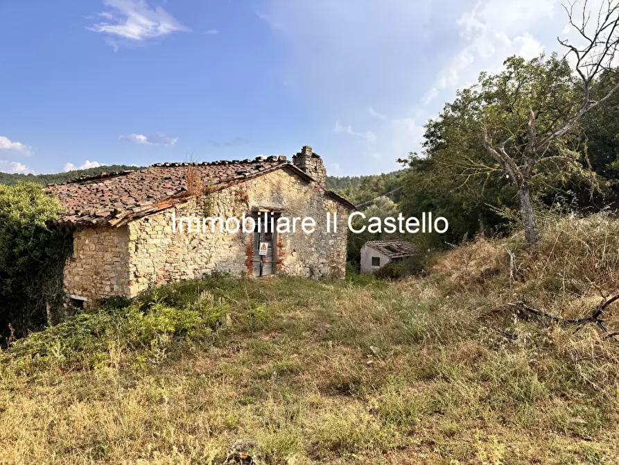 Immagine 3 di Attività commerciale in vendita  in piegaro a Piegaro