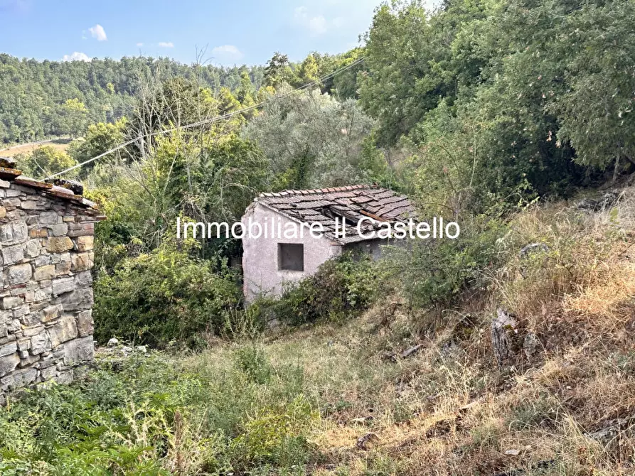 Immagine 4 di Attività commerciale in vendita  in piegaro a Piegaro