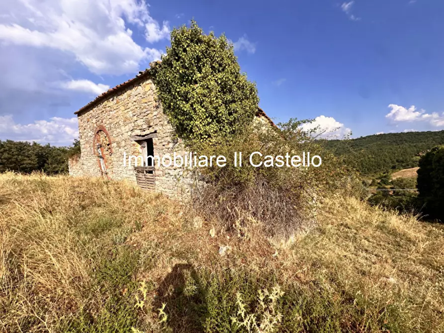 Immagine 5 di Attività commerciale in vendita  in piegaro a Piegaro