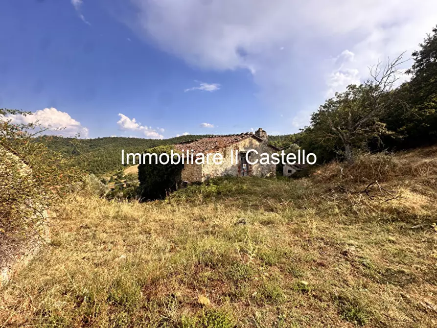 Immagine 6 di Attività commerciale in vendita  in piegaro a Piegaro