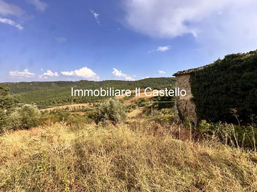 Immagine 7 di Attività commerciale in vendita  in piegaro a Piegaro