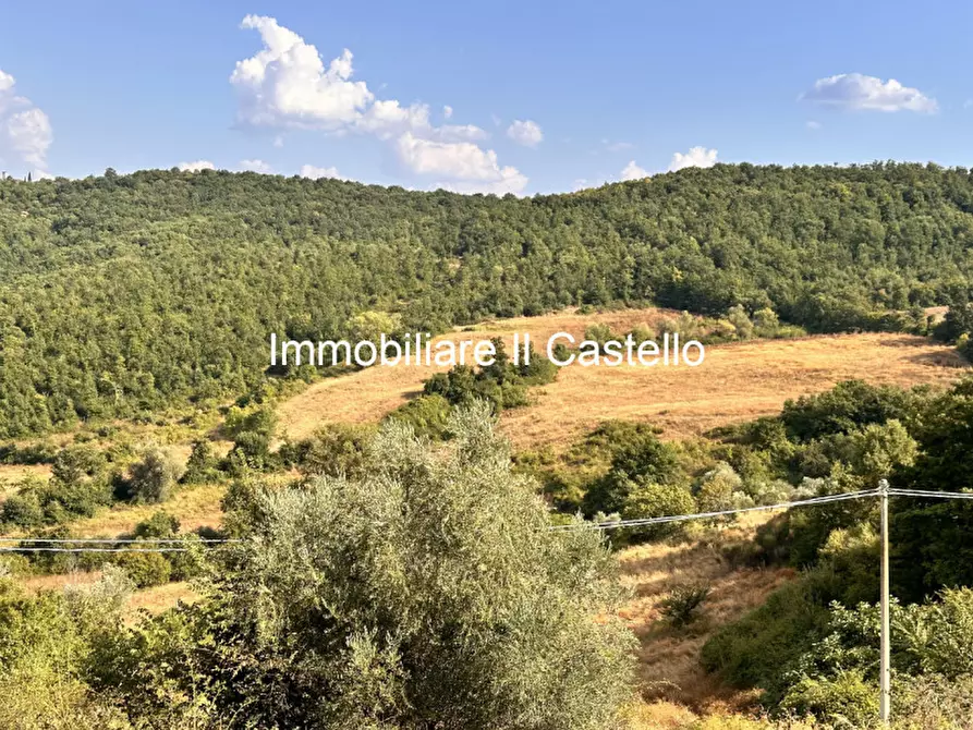 Immagine 8 di Attività commerciale in vendita  in piegaro a Piegaro