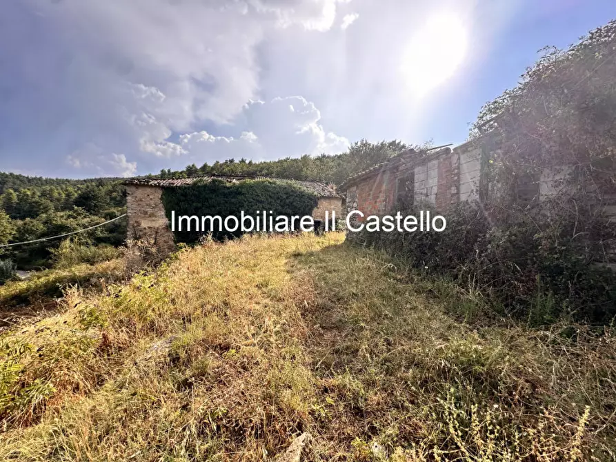 Immagine 9 di Attività commerciale in vendita  in piegaro a Piegaro