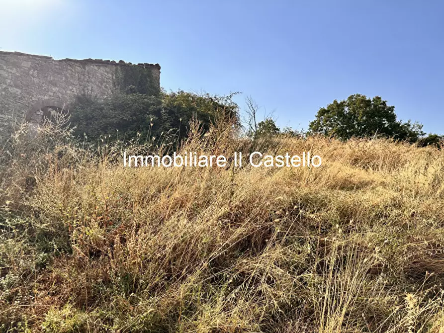 Immagine 10 di Attività commerciale in vendita  in piegaro a Piegaro