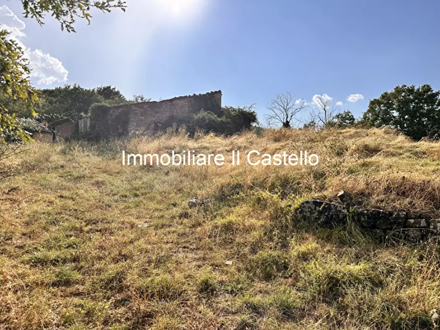 Immagine 11 di Attività commerciale in vendita  in piegaro a Piegaro