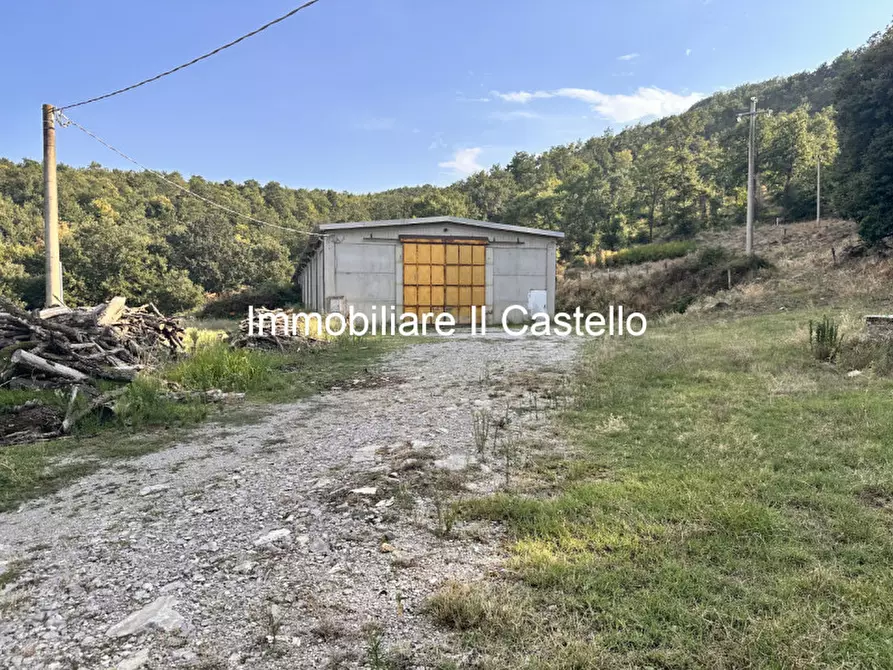 Immagine 12 di Attività commerciale in vendita  in piegaro a Piegaro