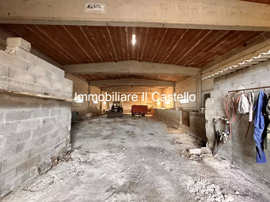 Immagine 13 di Attività commerciale in vendita  in piegaro a Piegaro