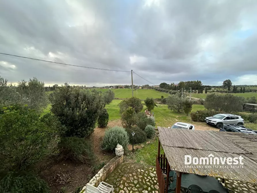 Immagine 15 di Villa in affitto  in Strada dell'Abbadia a Capalbio