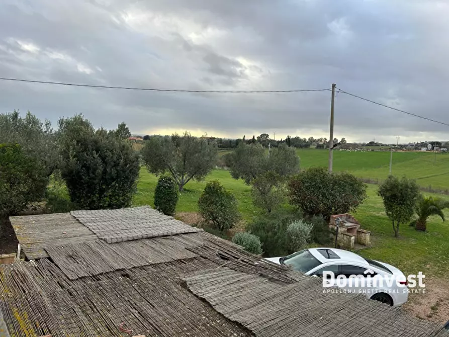 Immagine 16 di Villa in affitto  in Strada dell'Abbadia a Capalbio