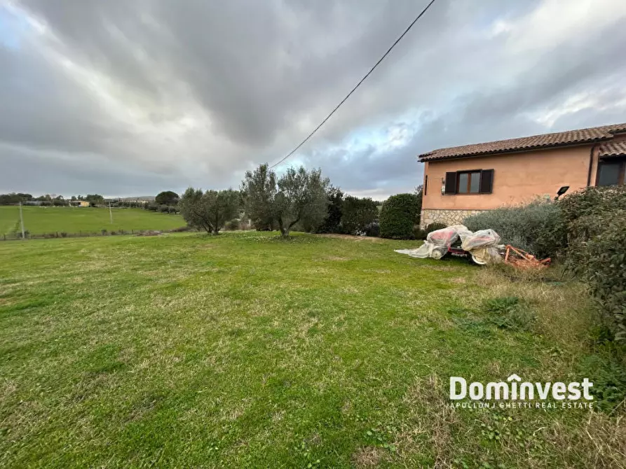 Immagine 20 di Villa in affitto  in Strada dell'Abbadia a Capalbio