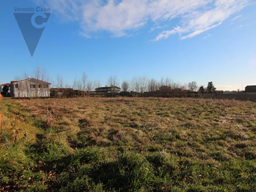 Immagine 5 di Terreno in vendita  a Piove Di Sacco