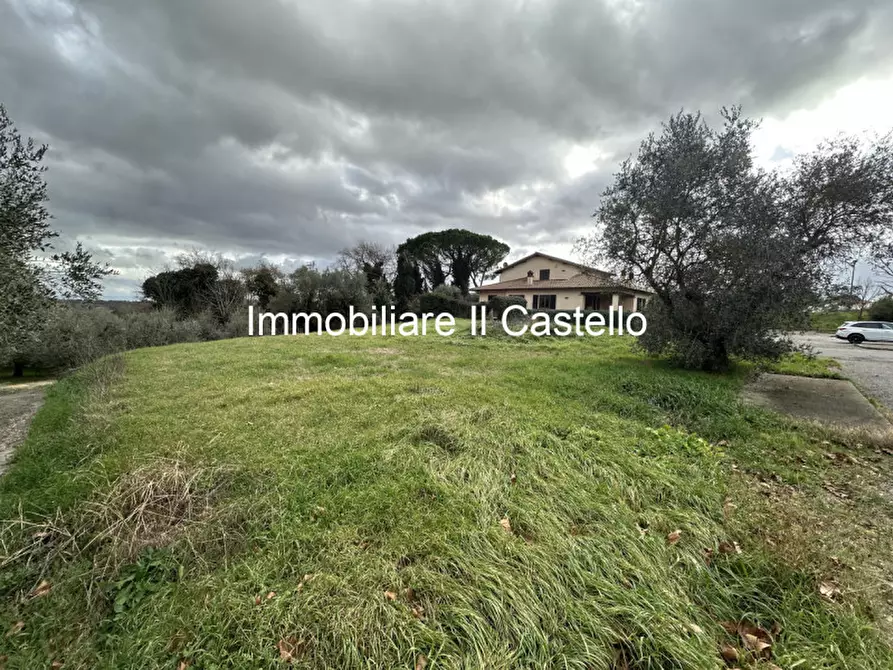 Immagine 9 di Terreno in vendita  in pozzuolo a Castiglione Del Lago