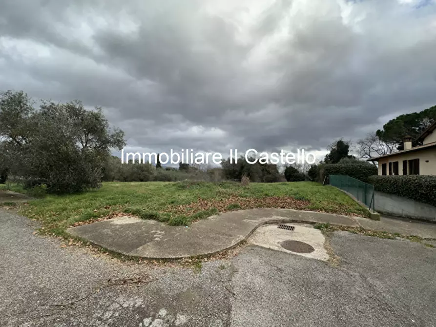 Immagine 9 di Terreno in vendita  in pozzuolo a Castiglione Del Lago