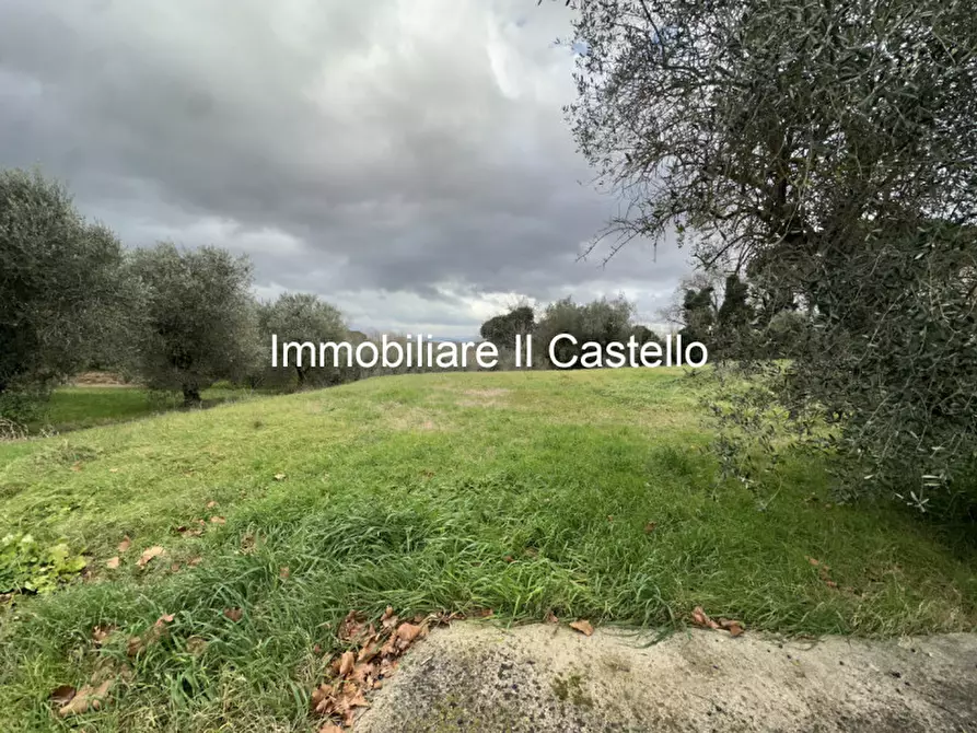 Immagine 10 di Terreno in vendita  in pozzuolo a Castiglione Del Lago