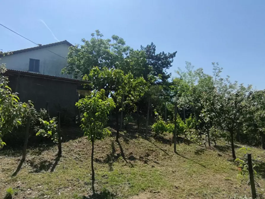Immagine 13 di Casa indipendente in vendita  in Via Sant'Anna, N. 36 a Rocca D'arazzo