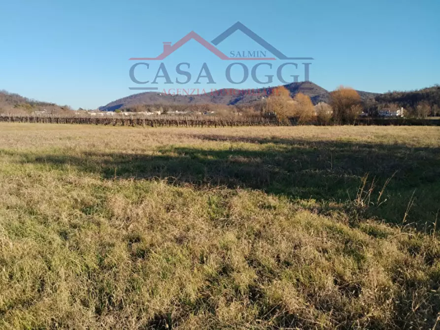 Immagine 1 di Terreno in vendita  a Teolo
