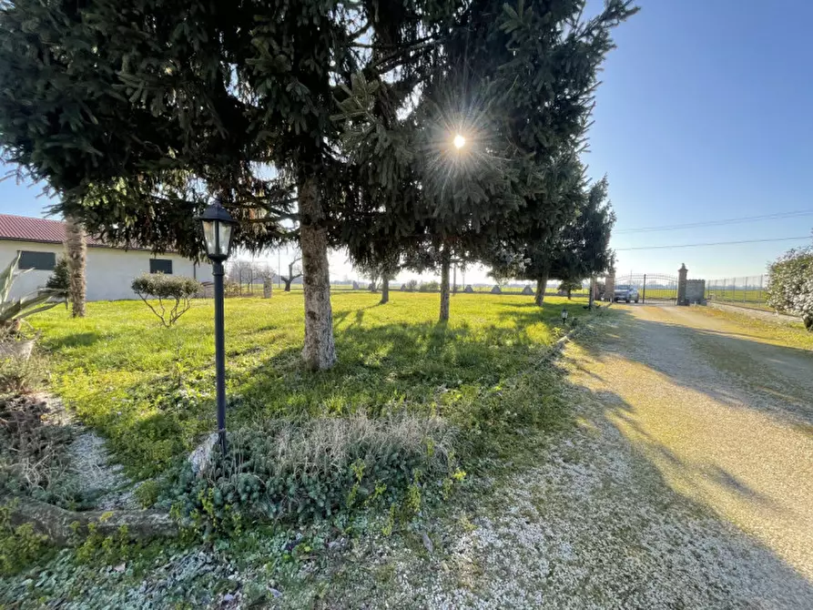 Immagine 2 di Casa indipendente in vendita  a Gonzaga