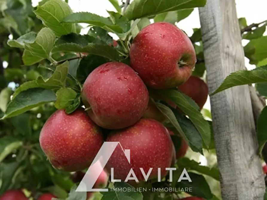 Immagine 1 di Terreno in vendita  in Salorno a Salorno .Salurn.