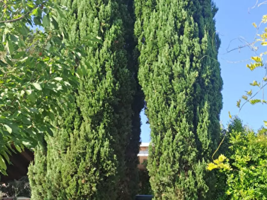 Immagine 24 di Villa in vendita  a Quartu Sant'elena