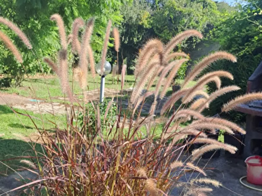 Immagine 34 di Villa in vendita  a Quartu Sant'elena