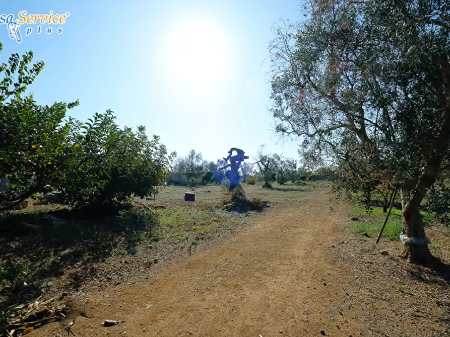 Immagine 6 di Villa in vendita  in Via Gallipoli a Sannicola