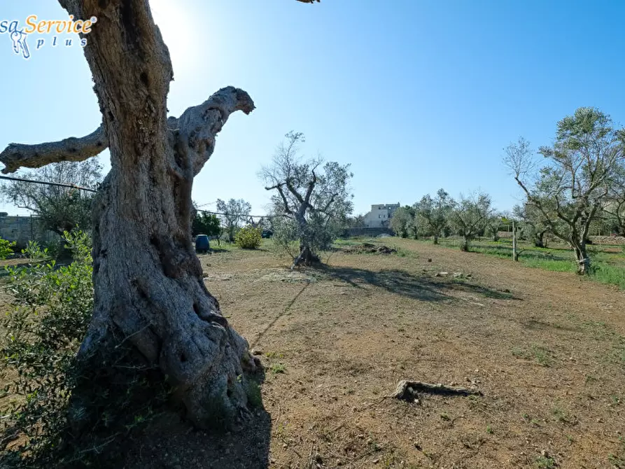 Immagine 7 di Villa in vendita  in Via Gallipoli a Sannicola