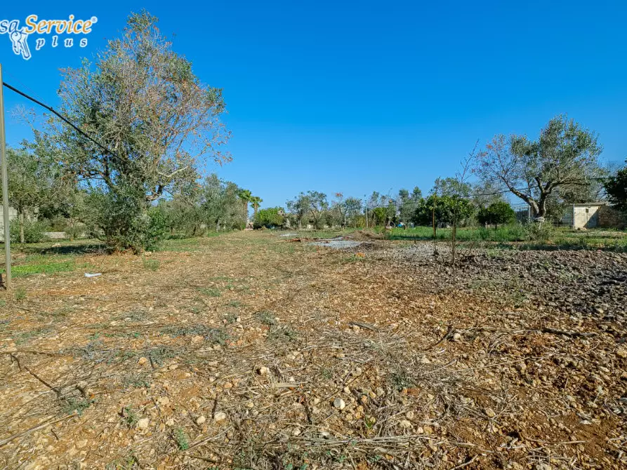 Immagine 8 di Villa in vendita  in Via Gallipoli a Sannicola