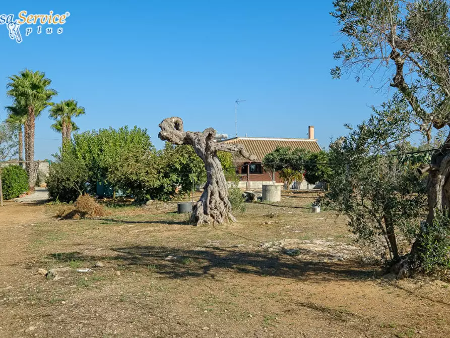 Immagine 9 di Villa in vendita  in Via Gallipoli a Sannicola