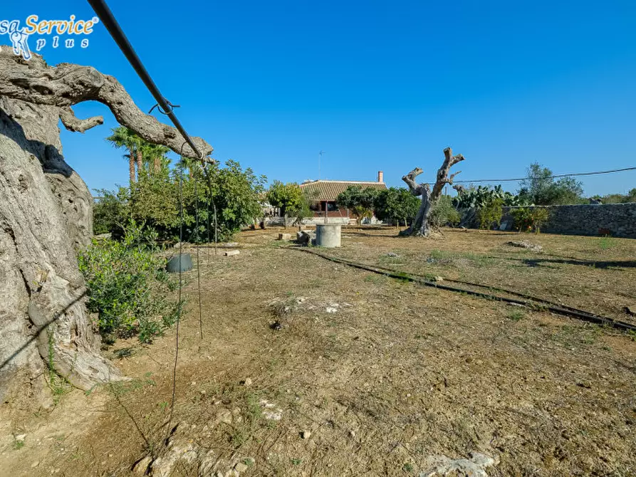 Immagine 10 di Villa in vendita  in Via Gallipoli a Sannicola