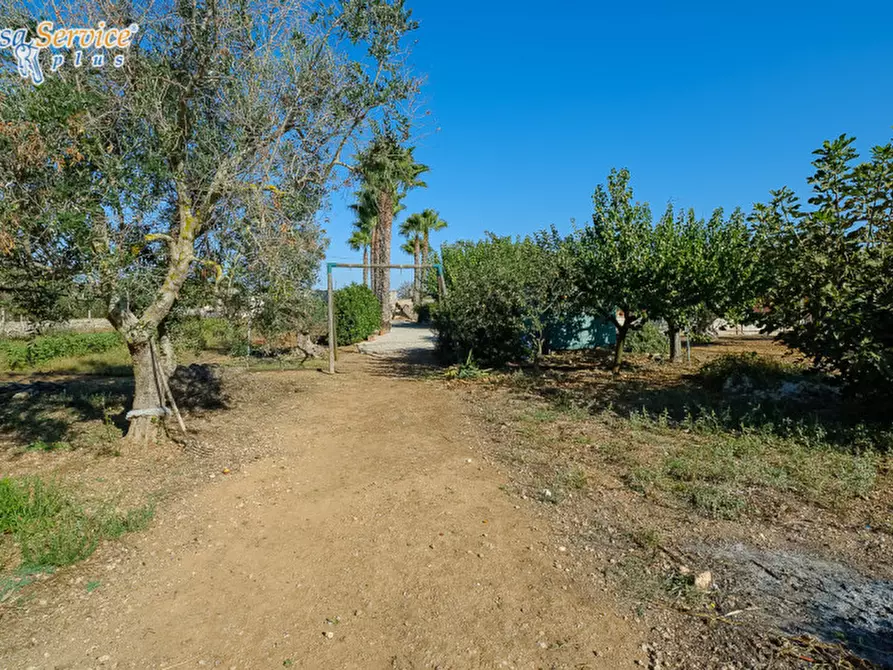 Immagine 11 di Villa in vendita  in Via Gallipoli a Sannicola