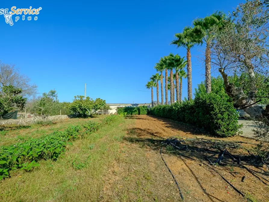 Immagine 13 di Villa in vendita  in Via Gallipoli a Sannicola