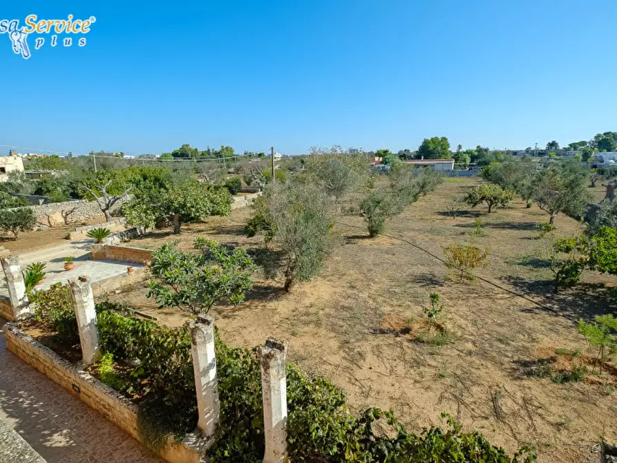 Immagine 31 di Villa in vendita  in Via Gallipoli a Sannicola