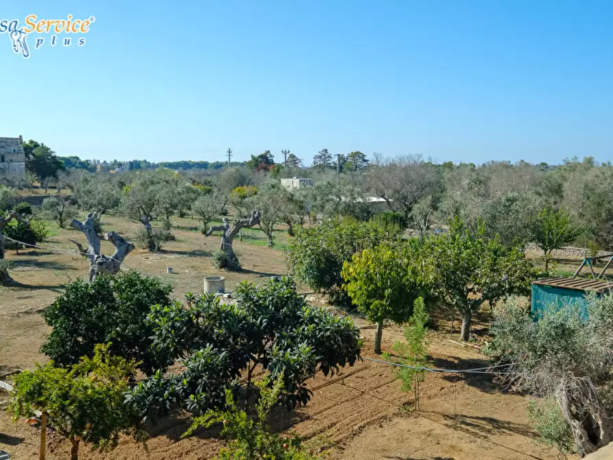 Immagine 32 di Villa in vendita  in Via Gallipoli a Sannicola