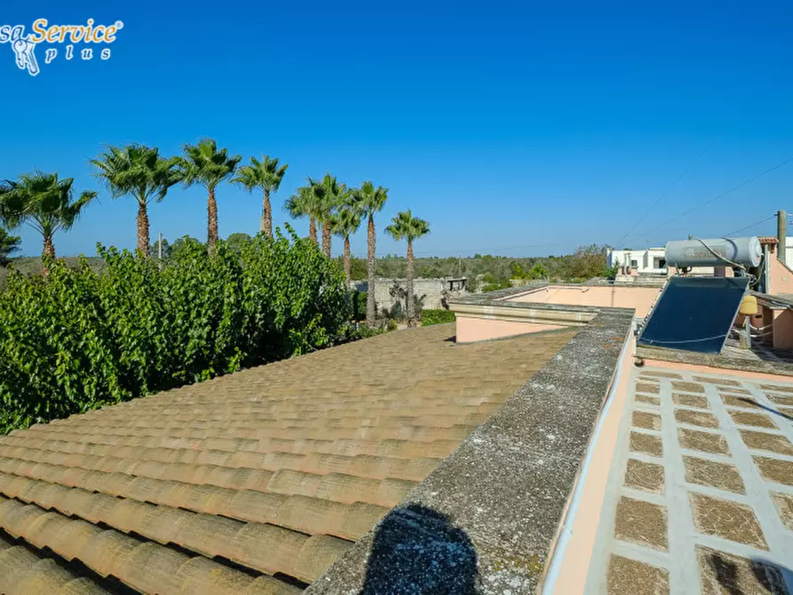Immagine 34 di Villa in vendita  in Via Gallipoli a Sannicola