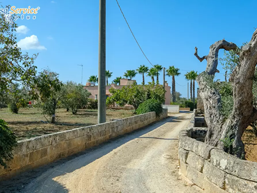Immagine 66 di Villa in vendita  in Via Gallipoli a Sannicola