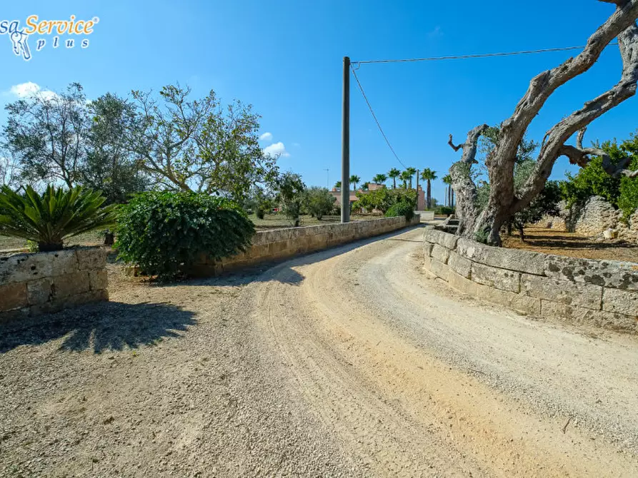 Immagine 67 di Villa in vendita  in Via Gallipoli a Sannicola