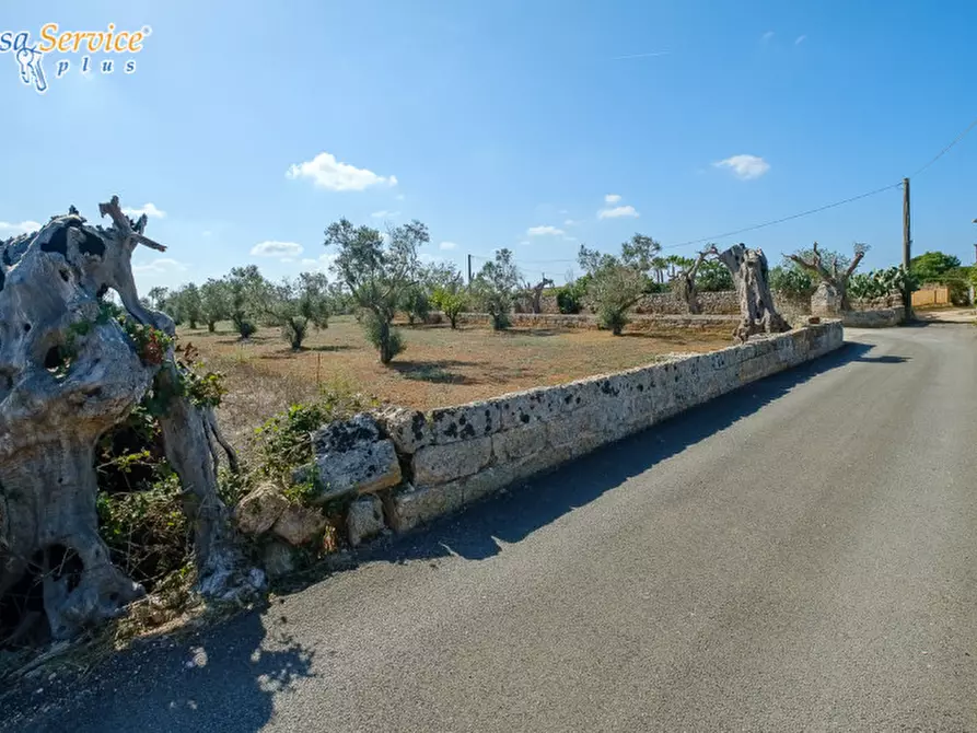 Immagine 68 di Villa in vendita  in Via Gallipoli a Sannicola